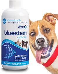Buy Pet Water Additive Oral Care For Dogs Cats Bad Breath Dental Rinse Freshener Treats Plaque Teeth Tartar Dog Cat Mouth Clean Health Treatment For Pets Drinking Bowl Online