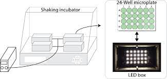 Juan pablo silva y rodrigo león banda 2. Different Co Occurring Bacteria Enhance Or Decrease The Growth Of The Microalga Nannochloropsis Sp Ccap211 78 Lian 2021 Microbial Biotechnology Wiley Online Library
