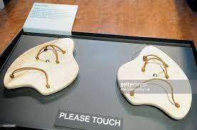 Swim Paddles Designed By Ben Franklin Are On Display At The Ben Franklin Franklin Paddle Designs