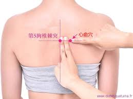 Points acupunture reference software—the fastest, easiest way to master the acupuncture meridians. Le Point Xin Shu Du Meridien De La Vessie 15v Dietetique Chinoise Et Tuina