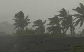 Cyclone Pethai Ap On High Alert Another Disaster Cyclone Pethai Coast Cyclone New World