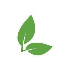 Green Leaf Icon Graphic Design Template Vector Leaf Clipart Leaf Icons Template Icons Png And Vector With Transparent Background For Free Download Graphic Design Templates Leaf Clipart Vector Trees