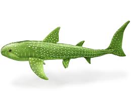 Image result for monika babi%u0161ov 