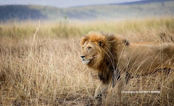 Olderkesi Conservancy