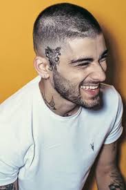 Zayn (Zeyn Malik): Rassomning tarjimai holi