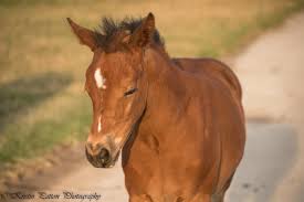 Profile for Kristin Patton Photography