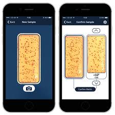 Dipslide Comparator App