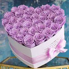 Please select another product or variant. Themillionroses The Million Roses Valentine Edition Video Facebook