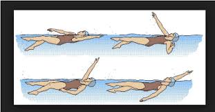 Maybe you would like to learn more about one of these? Renang Adalah Pengertian Macam Manfaat Dan Resikonya