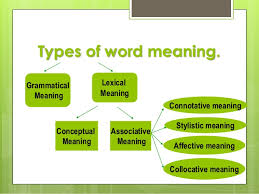 Conceptual meaning connotative meaning social meaning affective meaning reflected meaning collocative meaning thematic meaning. Lexicology