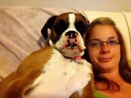 Adelaide Williams (@Adelaideybaby)