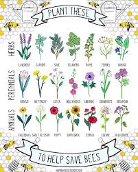 Les Plantes A Privilegier Pour Sauver Les Abeilles Bee Friendly Plants Bee Friendly Garden Plants