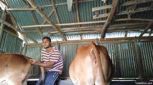 Men animal porn - Best adult videos and photos