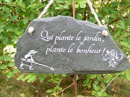 Pin On My New Garden