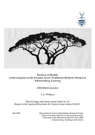 Image result for Schlechterina mitostemmatoides