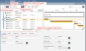 primavera p6 web gantt chart features primavera tips and