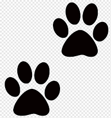 Hund Katze Pfote Desktop Poster Hintergrund Tiere Hintergrund Schwarz Und Weiss Png Pngwing