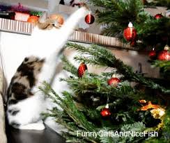 That kitten tree's kitties are ripe for the picking. Cats Vs Christmas Trees A Holiday Gif Collection