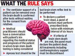 Brain dead is a collective of designers and artists around the world. Brain Death Kerala Government Okays New Guidelines Thiruvananthapuram News Times Of India