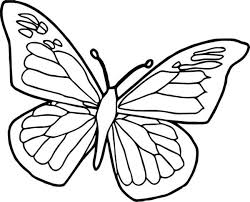 Sketsa kupu kupu ini masih sedikit sulit untuk dapat bisa dilanjutkan dengan cara melukis atau memberikan warna. Sketsa Kupu Kupu Untuk Kolase Sekali