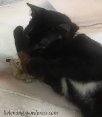 lirik pak atan ada ladang iya iya. Kucing X2 Tafakur Musim Raya Helen Ang
