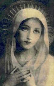 Sandy Orton's Instagram, Twitter & Facebook