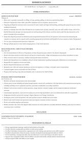Dispatch Supervisor Resume Sample Mintresume
