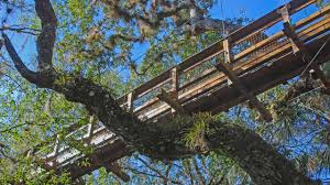 Choose floor plan display or. Myakka Canopy Walk Myakka River State Park Florida Hikes
