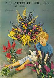 Things to do near notcutts garden pride garden centres. History Of Notcutts