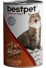 Bestpet Kedi Mamalari Ve Malzemeleri Hepsiburada Com