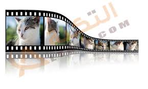 تفسير حلم رؤية الصور في المنام