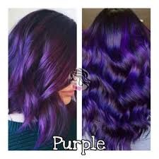 Softens and calms sensitized fibers. Purple Hair Color Permanent And Semi Permanent Shopee Philippines