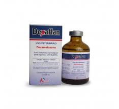 L'atropina è un farmaco iniettabile noto in commercio come atropion, che è uno stimolante del sistema nervoso parasimpatico che agisce inibendo l'attività del neurotrasmettitore acetilcolina. Dexaflan Dexametasona 50ml