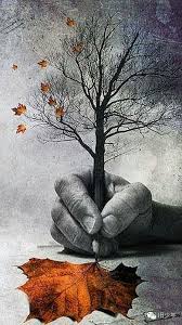 Pin By Blackbird Alley On Beautiful Pictures Surreal Art Art Photography Art