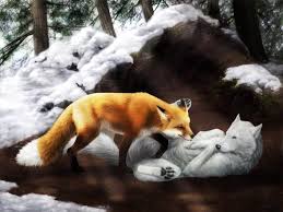 Maybe you would like to learn more about one of these? Cute Fox And Wolf Wallpapers Top Free Cute Fox And Wolf Backgrounds Wallpaperaccess