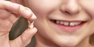 Jika anda melihat barisan gigi, ia. 11 Arti Mimpi Gigi Copot Menurut Psikologi Tidak Hanya Pertanda Kematian Kapanlagi Com