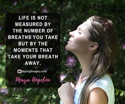 Maya angelou was an american author, poet, dancer, actress, and singer. 36 Inspiring Maya Angelou Quotes To Never Hold Back On Your Dreams Sayingimages Com