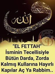 Yuvasiz Kuslar Amin Facebook