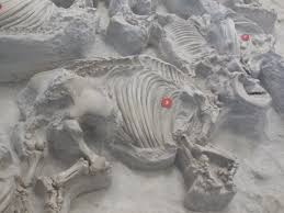 Ashfall fossil beds state historical park. Nebraska S Nicest 5 Ashfall Fossil Beds State Historical Park Postcard Jar Travel Blog