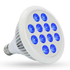 Check spelling or type a new query. Hydroponics Veg Growing All Blue Led Par38 Grow Light E27 Led Plant Grow Lights Bulb For Aquarium And Plant Growth 450nm Buy R Aquarium And Plant Growth 450nm E27 Led Grow Bulb Blue