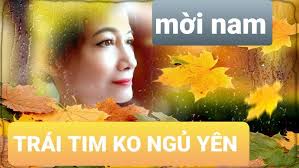 KARAOKE TRÁI TIM KHÔNG NGỦ YÊN