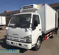 ISUZU 100P Cold Storage Fridge Freezer Van Truck Suppliers ...