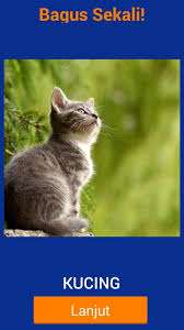 Tebak nama hewan level 1. Tebak Nama Hewan Fur Android Apk Herunterladen