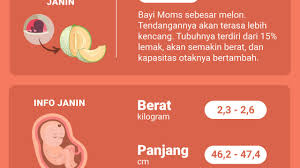 Lakukan chest thrust dengan menekan ke bawah dada sekitar 3.5 cm. Tangisan Pertama Bayi Di Minggu Ke 35 Kehamilan Yang Harus Moms Ketahui Inspirasi Shopee