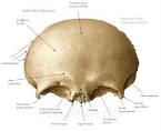 Frontal imagen