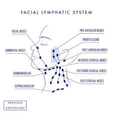 How To Do Lymphatic Drainage Face Neck Bright Body