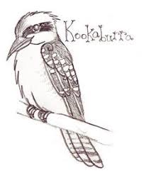 Find the perfect kookaburra stock illustrations from getty images. Kookaburra Coloring Page Kids Sketch Coloring Page Animal Doodles Children Sketch Coloring Pages