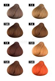 Hair Dye Colours Chart Colour Numbers 1 Stock Photo