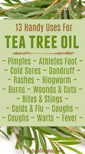 Pin By My Oh My On Essential Oil Blends Essential Oil Usage Tea Tree Essential Oil Essential Oil Blends