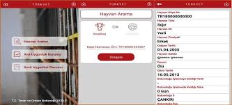 Turkvet Artik Akilli Telefonlarda
